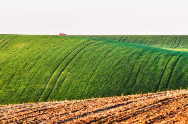 Canada’s Agriculture Day
