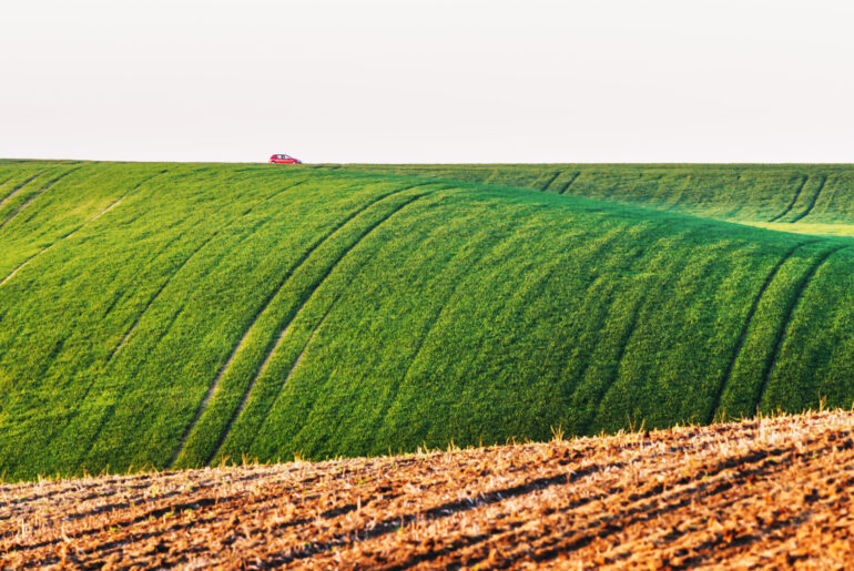 Know Everything About Canada’s Agriculture Day Canada’s Agriculture Day