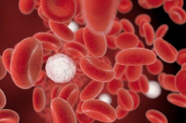 International Thalassemia Day