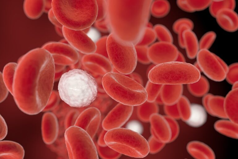 All You Need To Know About International Thalassemia Day International Thalassemia Day