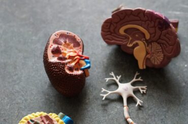 Why You Need To Observe Brain Injury Awareness Month Brain Injury Awareness Month