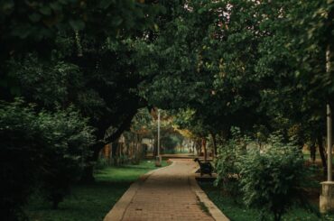 All You Need To Know About Recreation and Parks Month Recreation and Parks Month