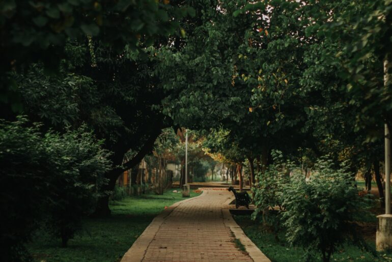 All You Need To Know About Recreation and Parks Month Recreation and Parks Month